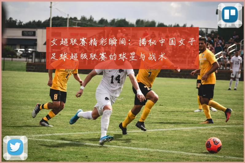 女超联赛精彩瞬间:揭秘中国女子足球超级联赛的球星与战术